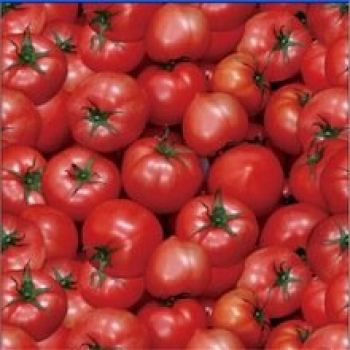 Tomatoes