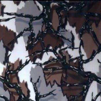 Pellicole: Camouflage